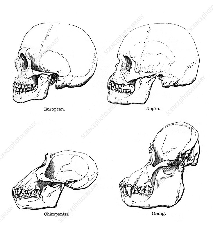 1756931225085