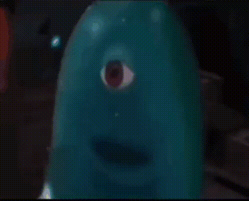 1000017302