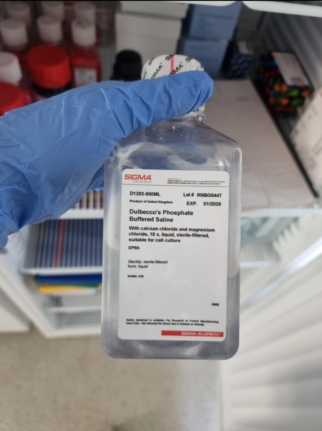 Screenshot 20250904 174027 WhatsApp