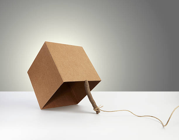 Istockphoto 181900229 612x612