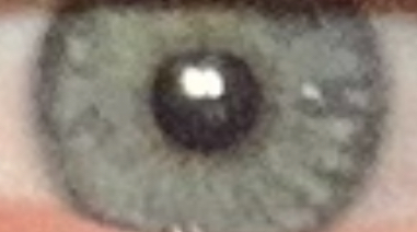 IMG 9508