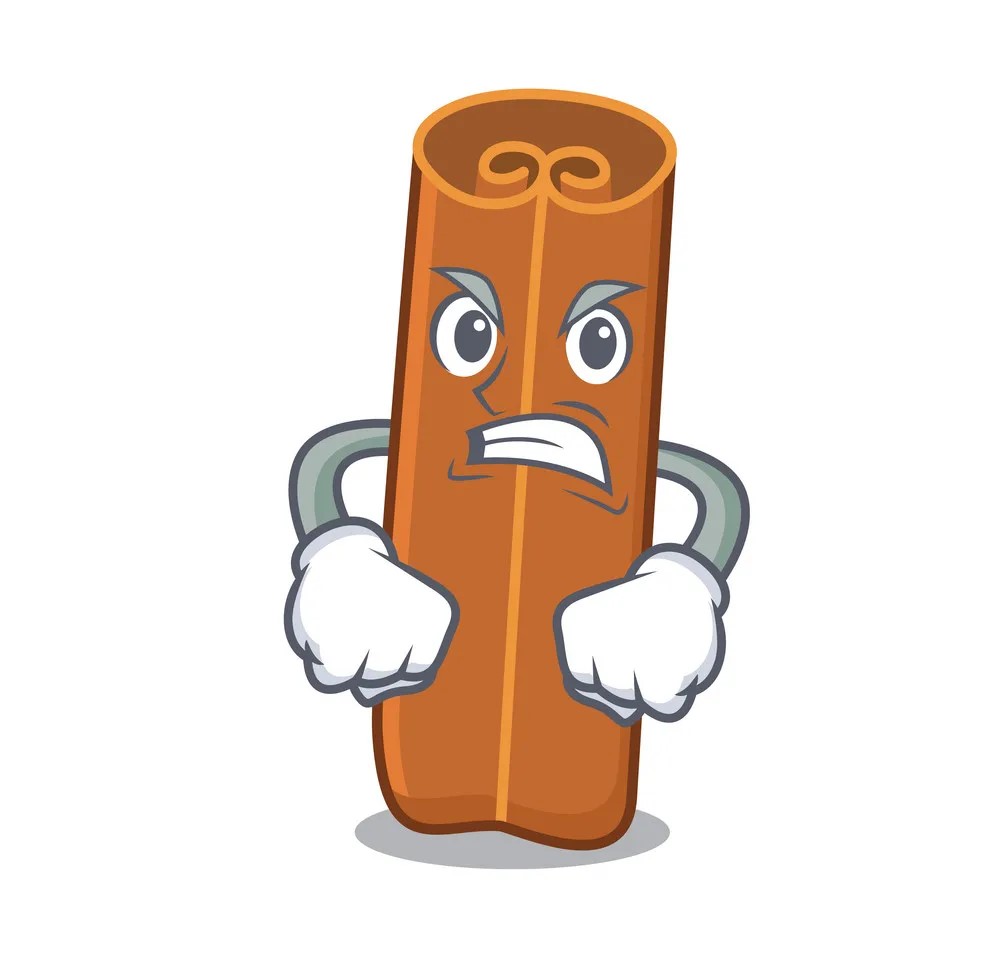 Angry cinnamon mascot cartoon style vector 20559320