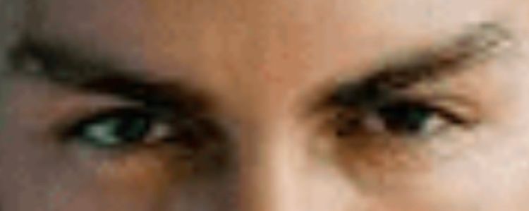 IMG 0743 IMG 0743