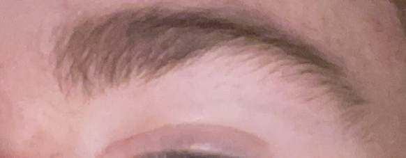 IMG 0065