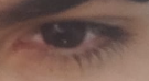 5304491 kir2 5304491 kir2