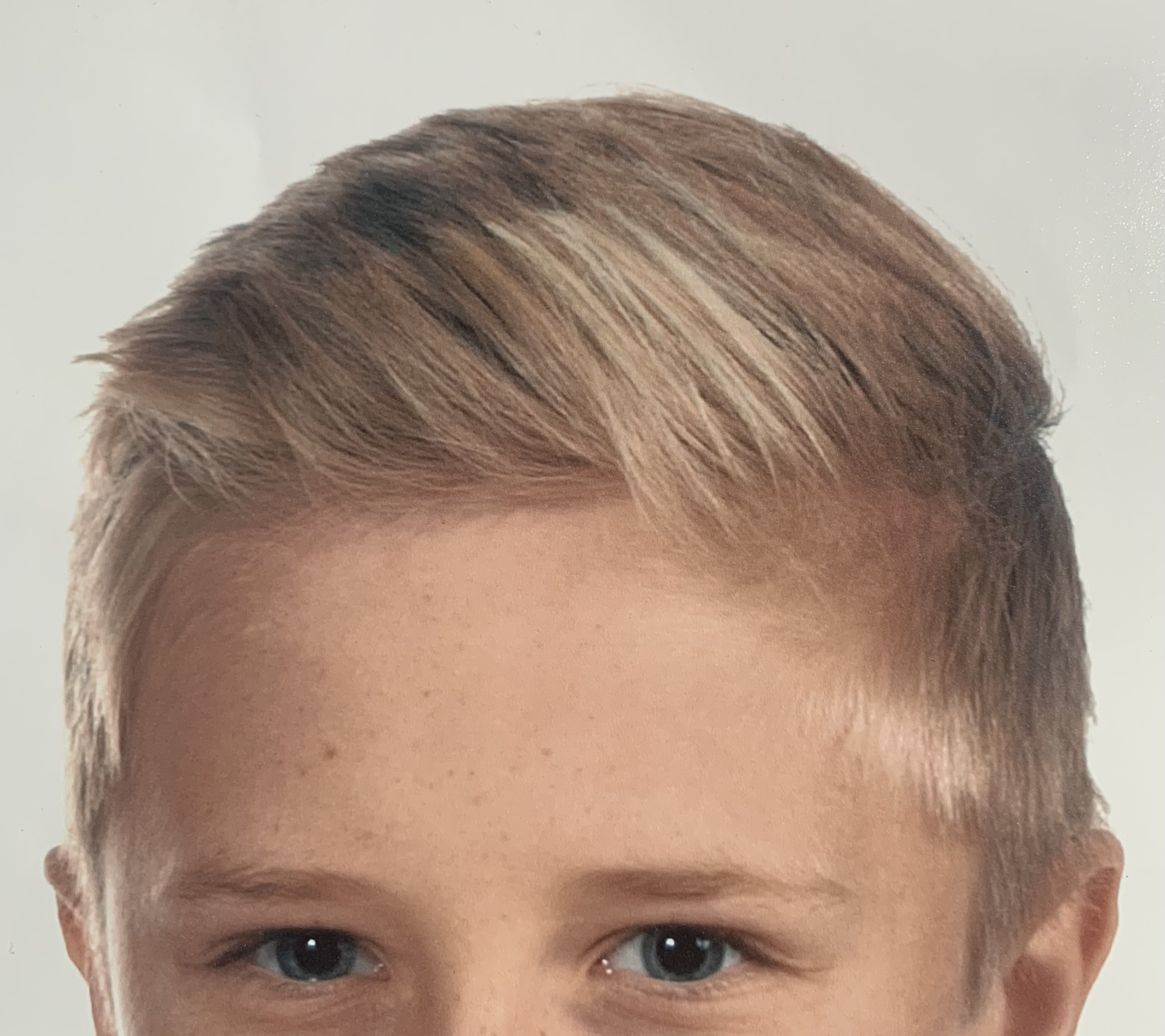 IMG 0042