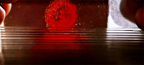 Picgifs dexter 32284