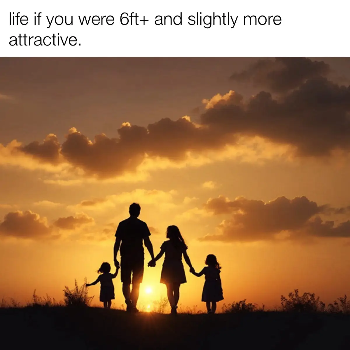 B8c149dd 9d6c 40e8 ac8a ad74d4b8c6ed 1 all 8509