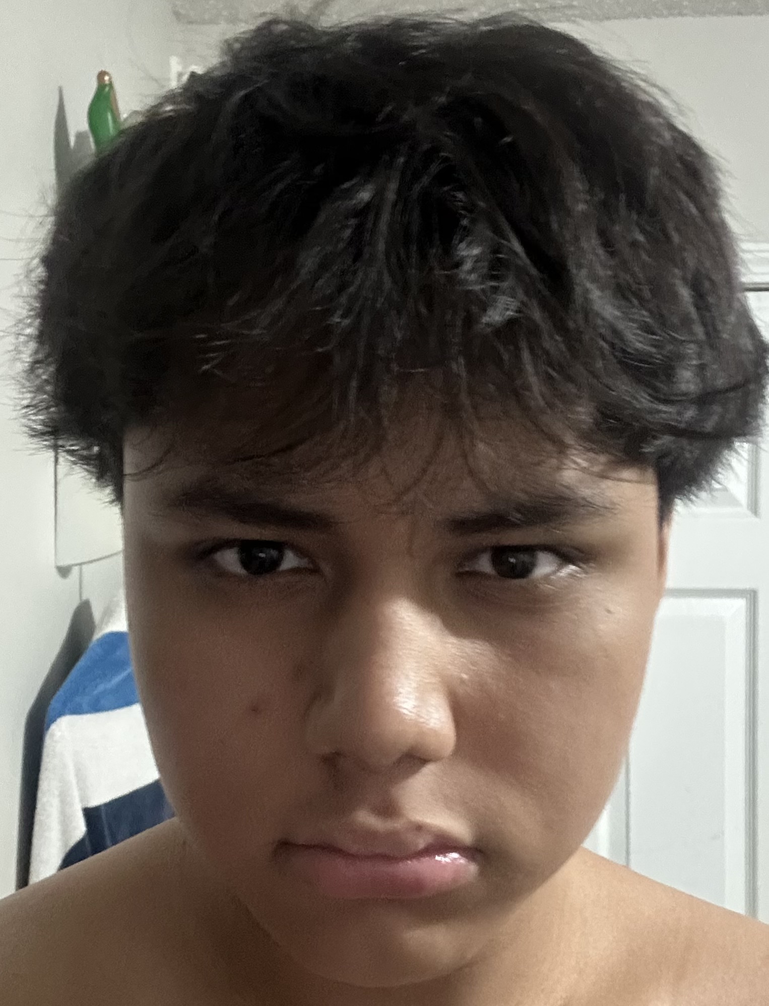 IMG 2550