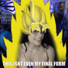 Final form pokketninja