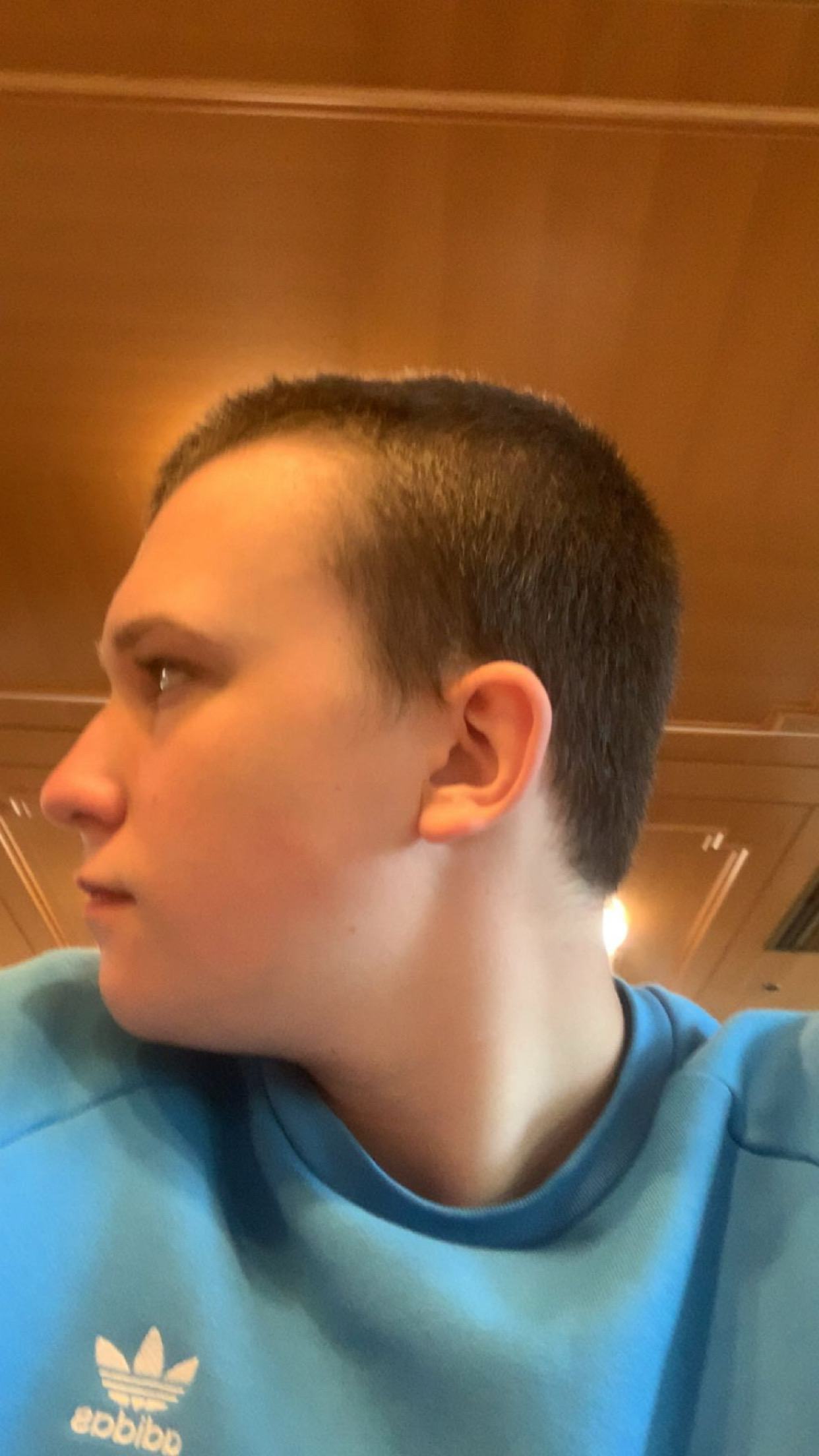 IMG 1834