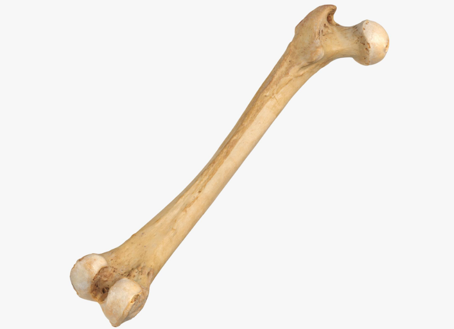 1757356510972 1757356510972