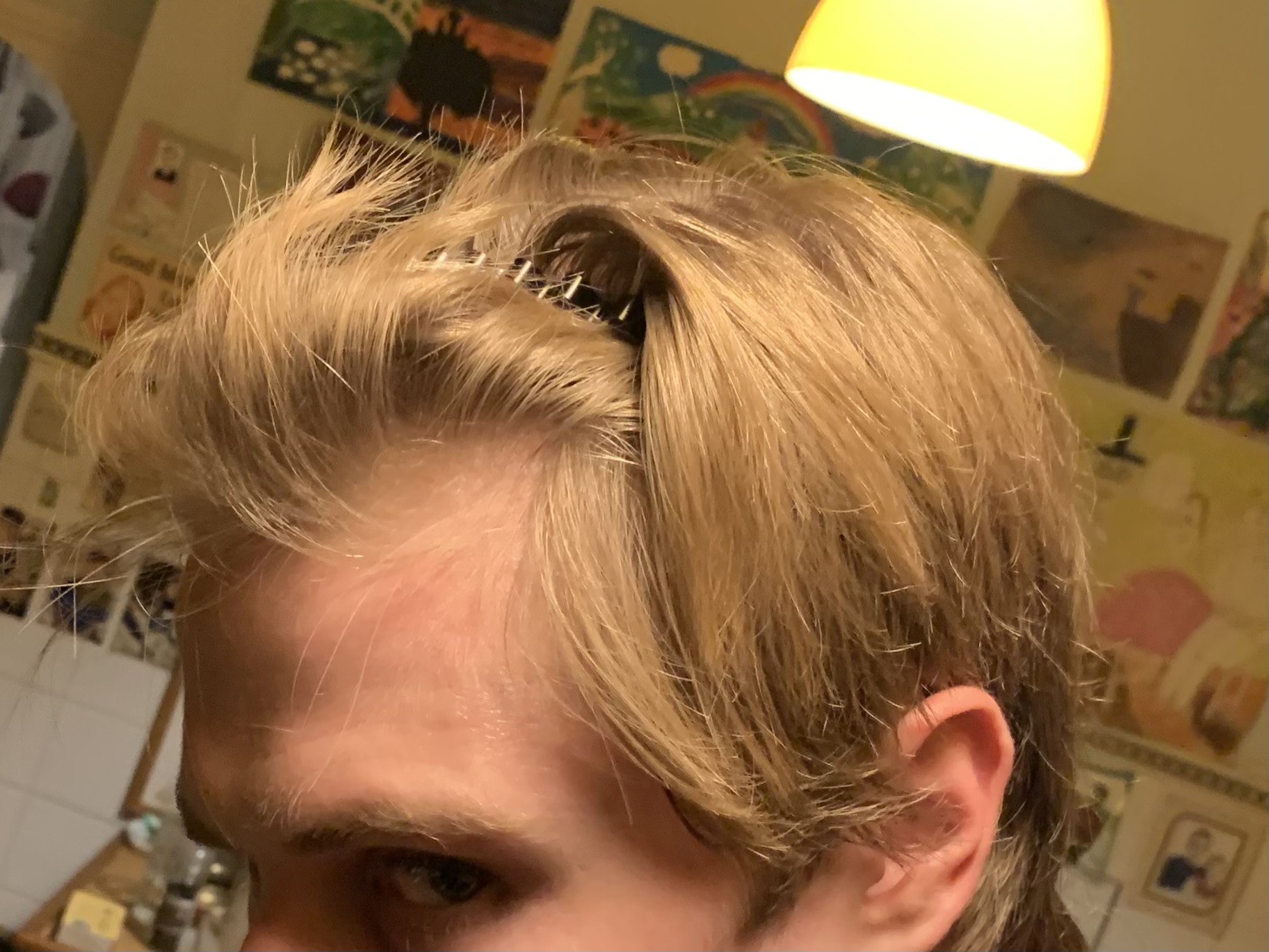 IMG 0233