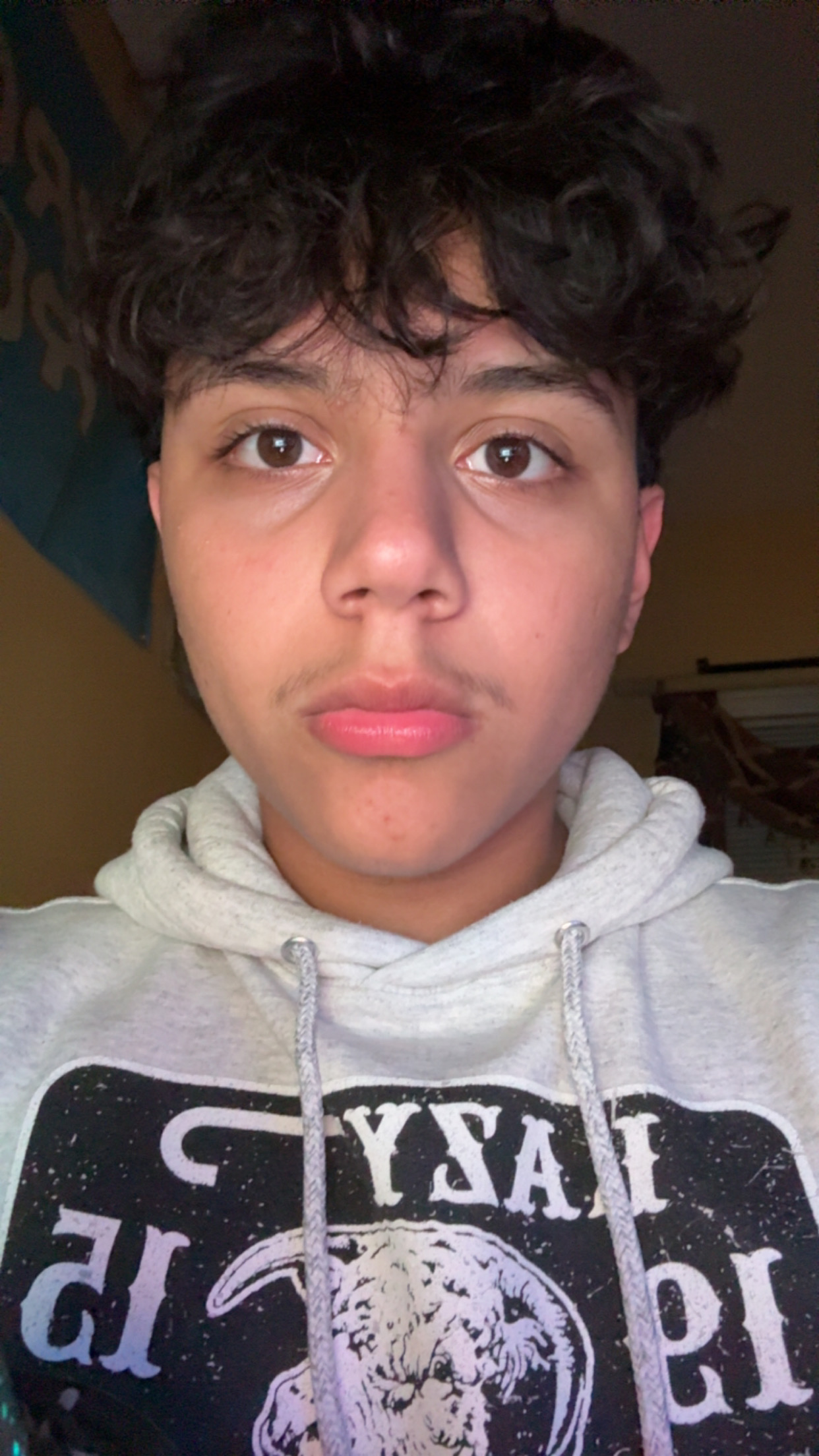 5318800 IMG 1136