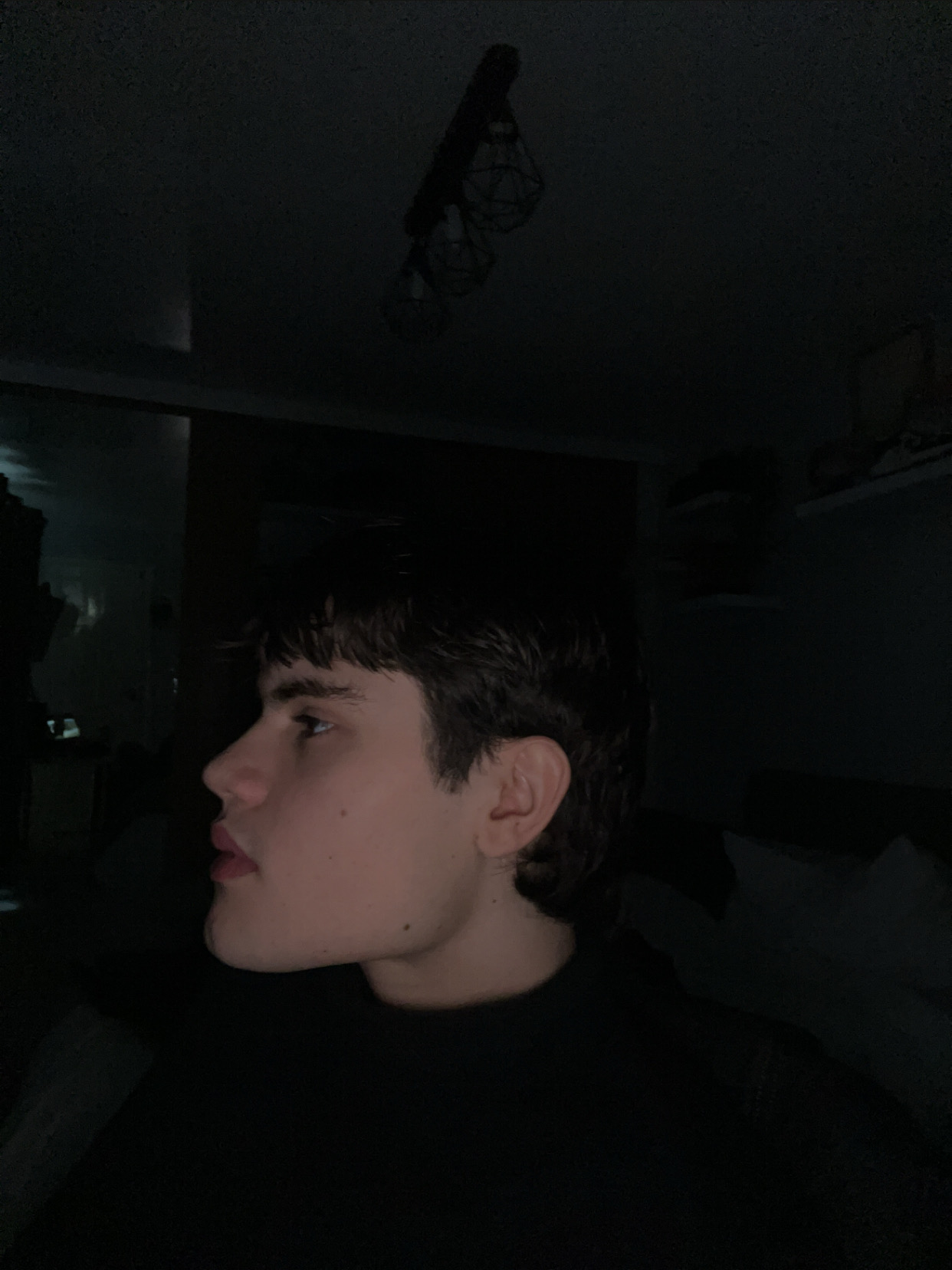 IMG 3446 IMG 3446