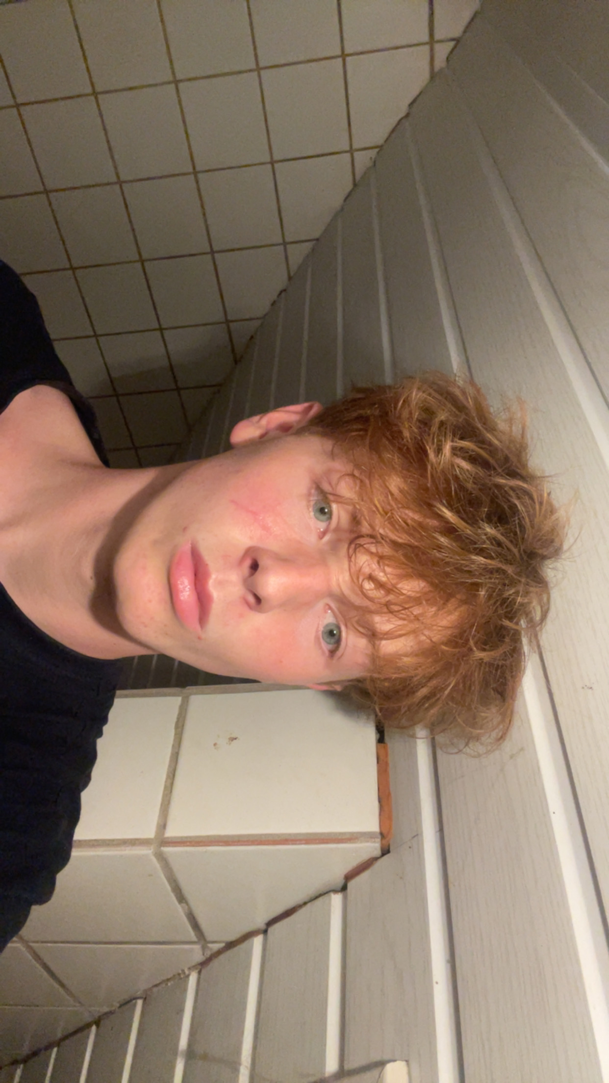 IMG 3785