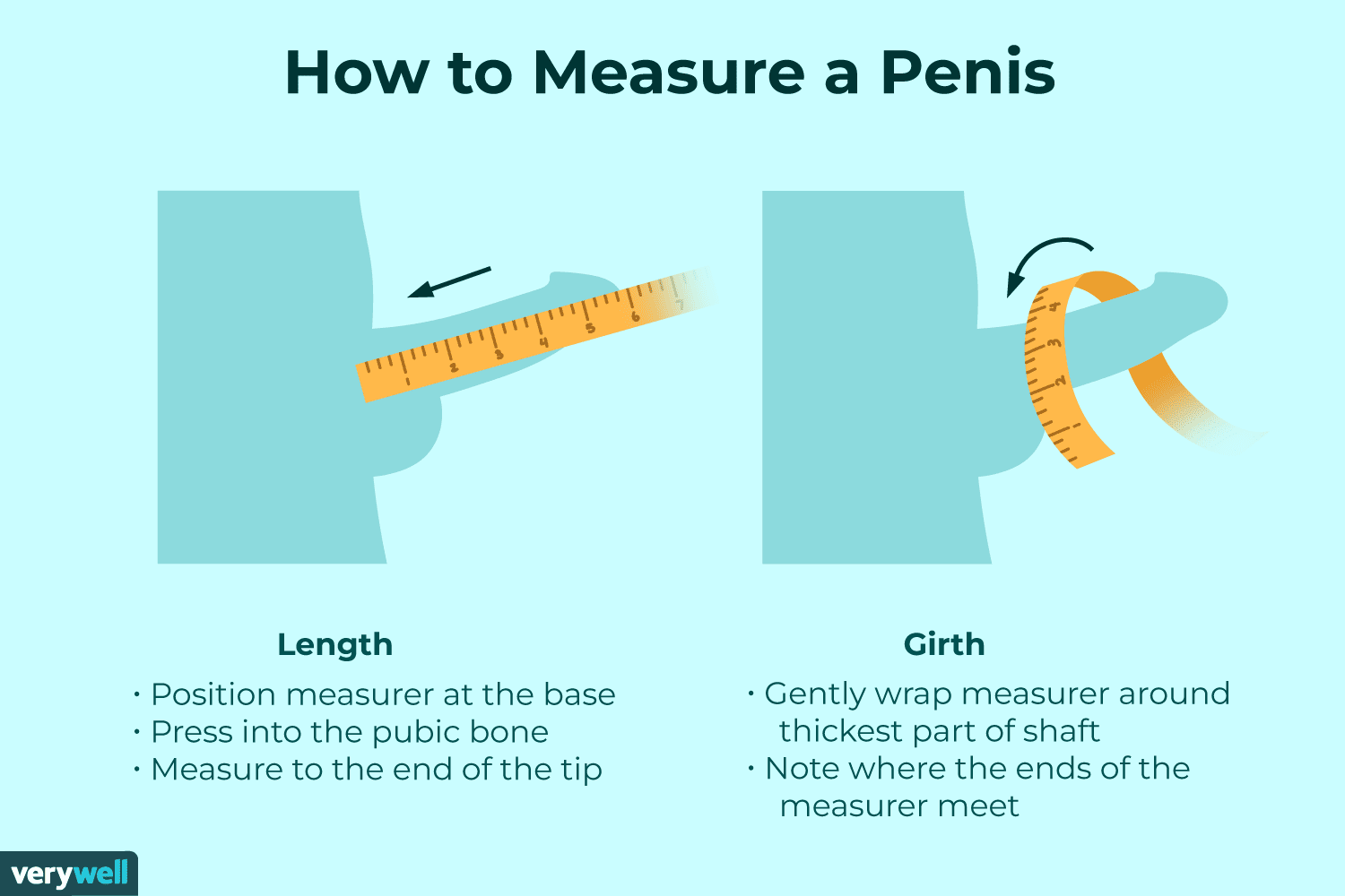 How to measure your penis size 906786 final c954850f7abd49ce93680c78848ad2c3