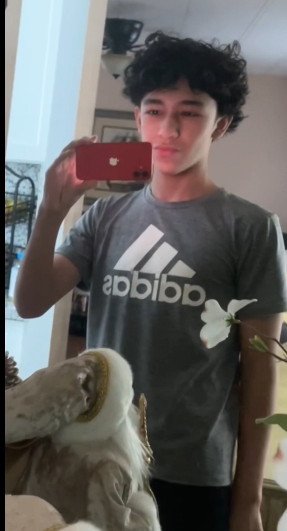 1757566866397