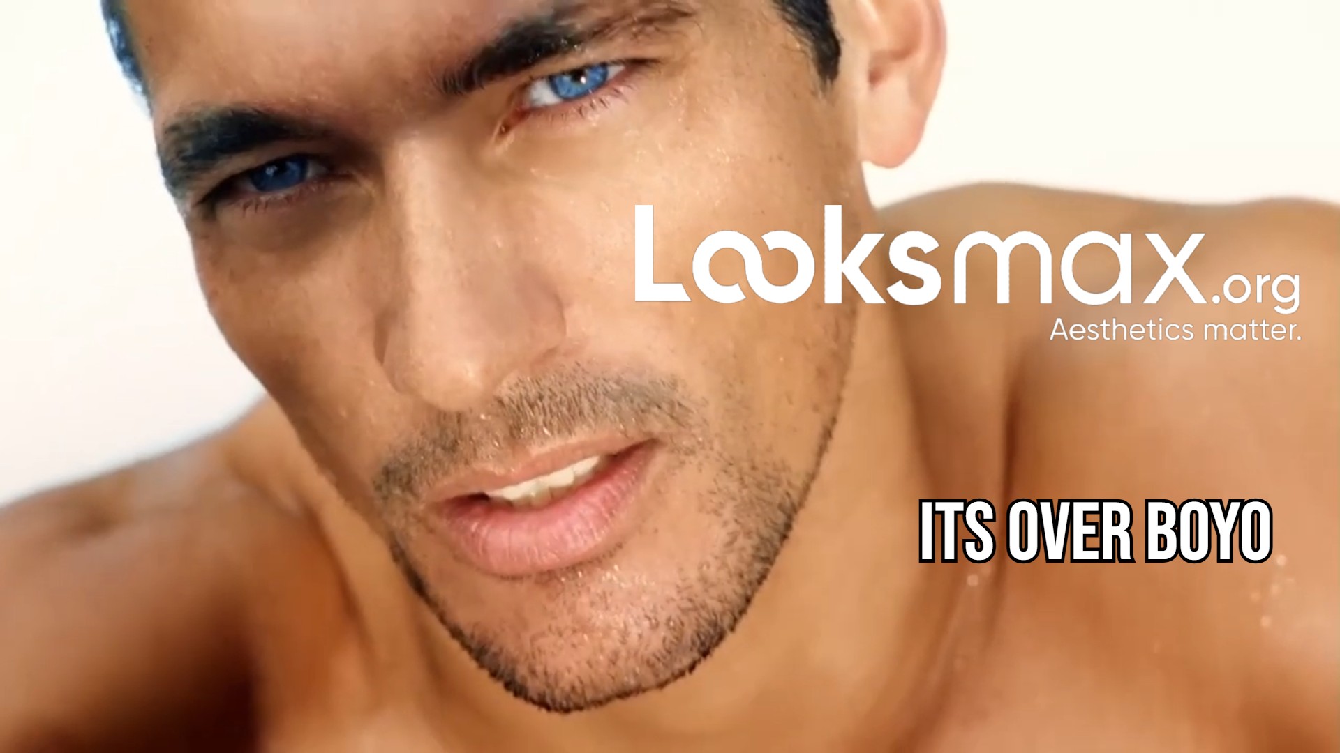 Gandy2
