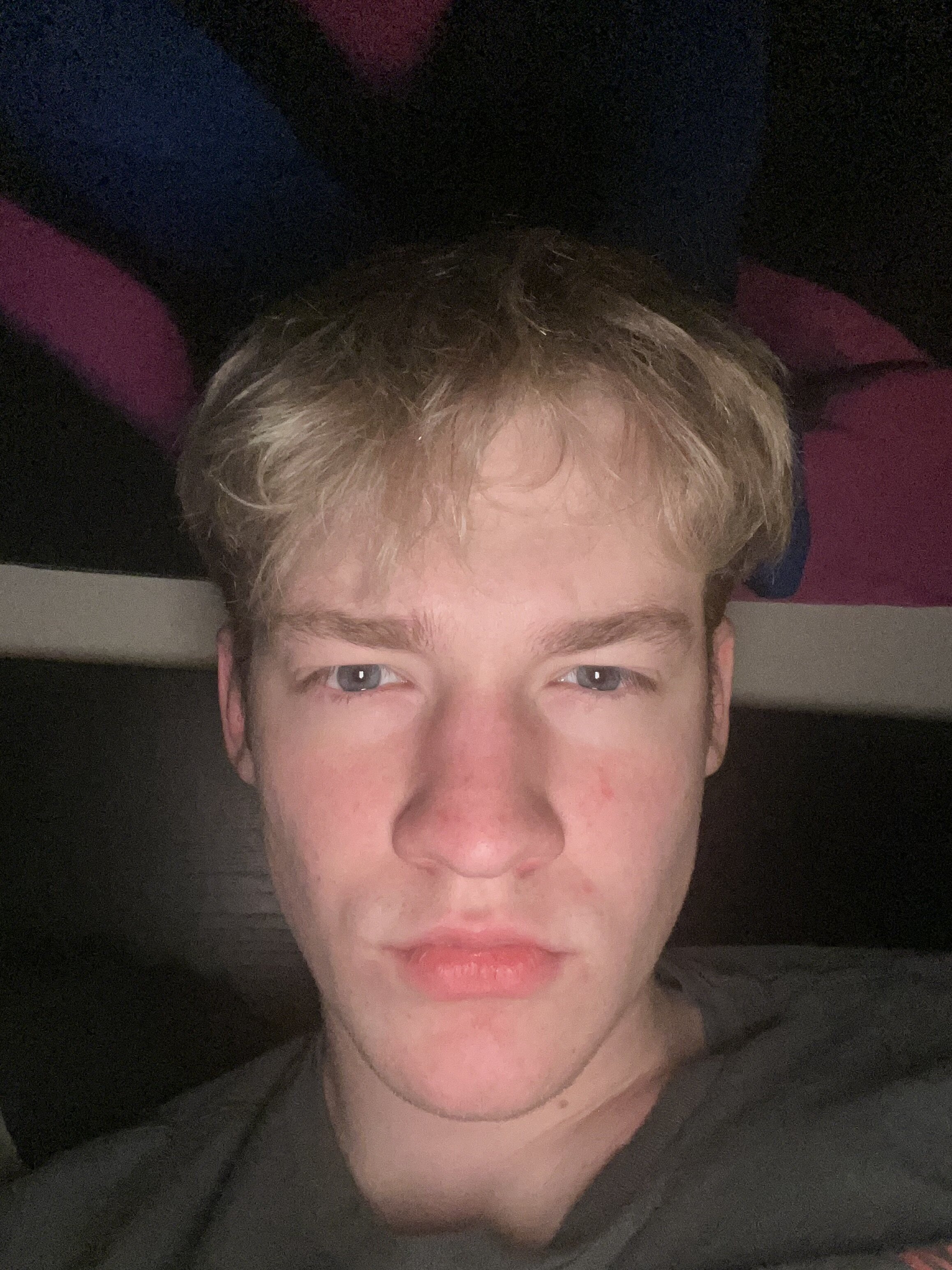 IMG 1561