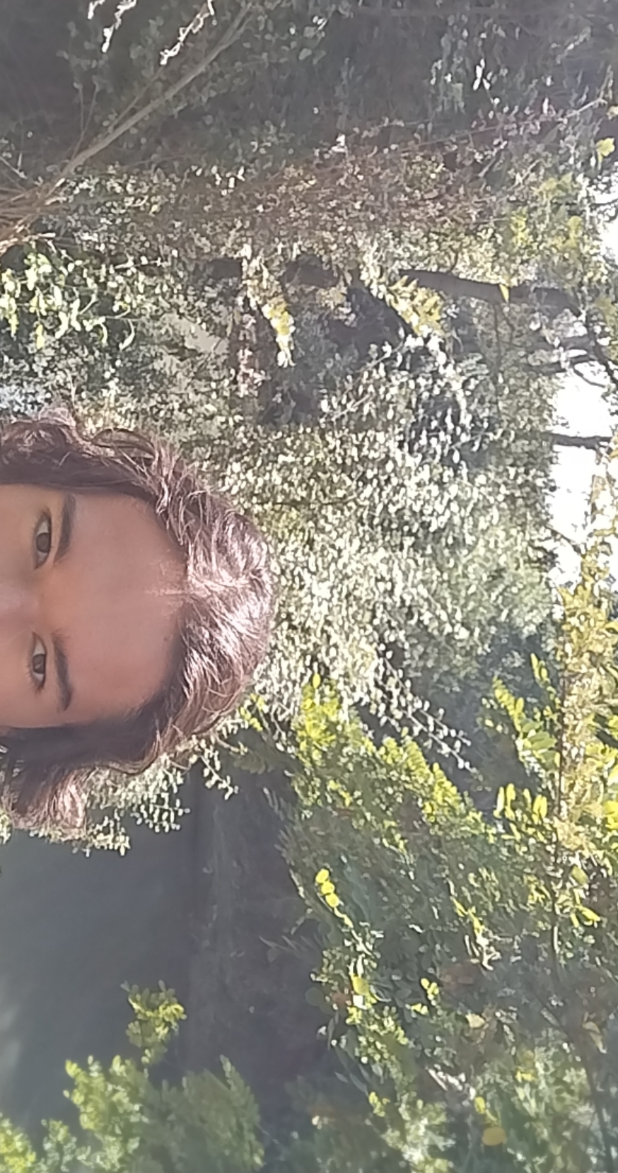 Nature5