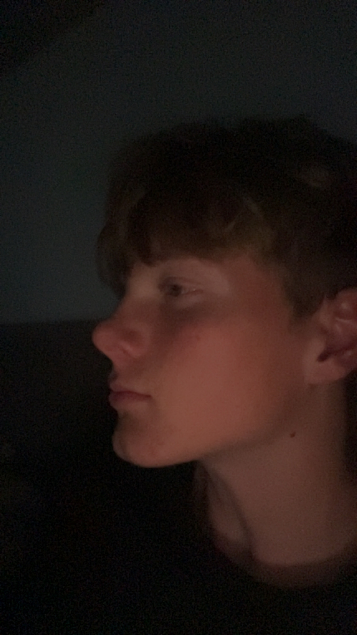 IMG 1726