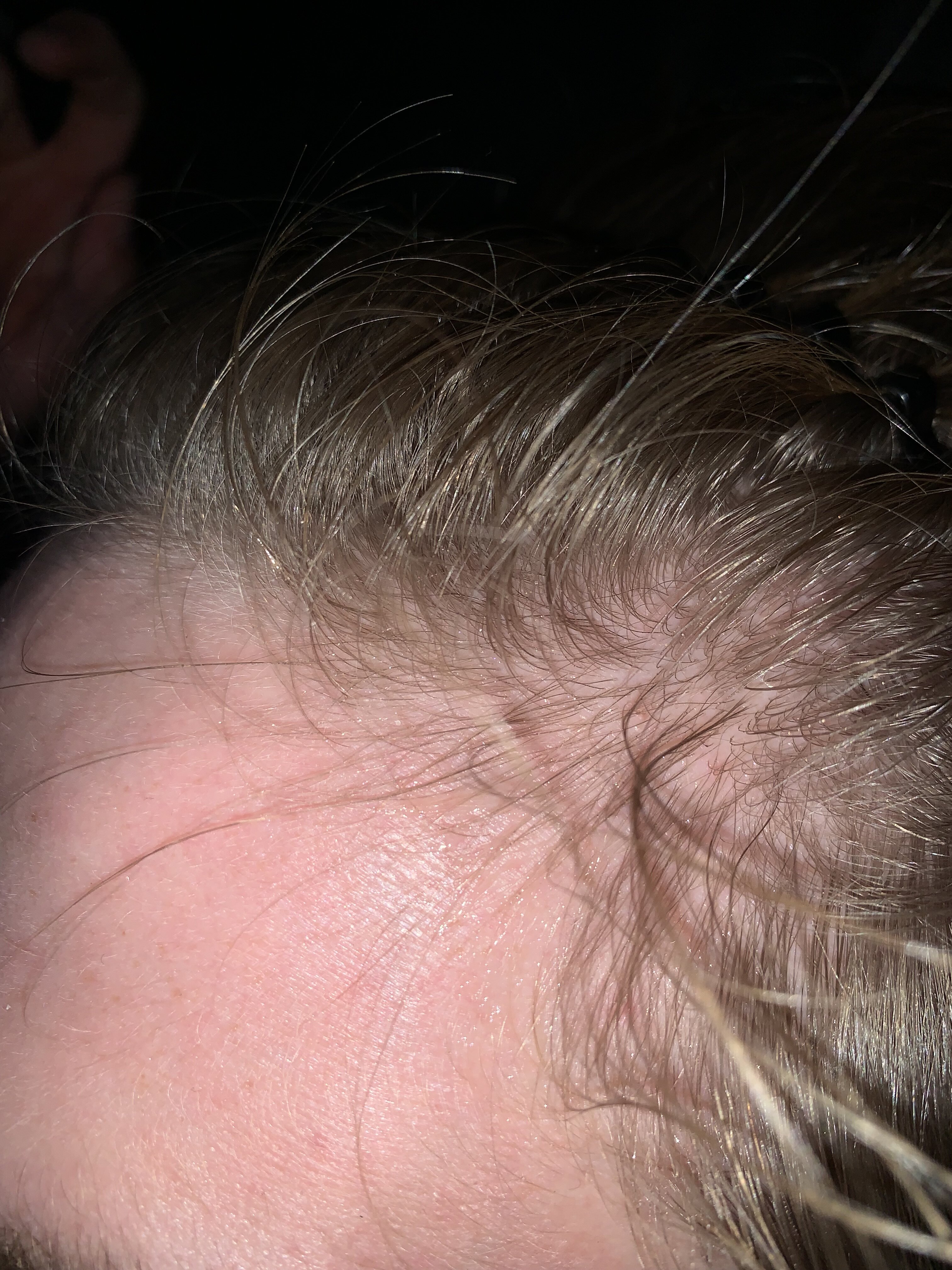 IMG 0398
