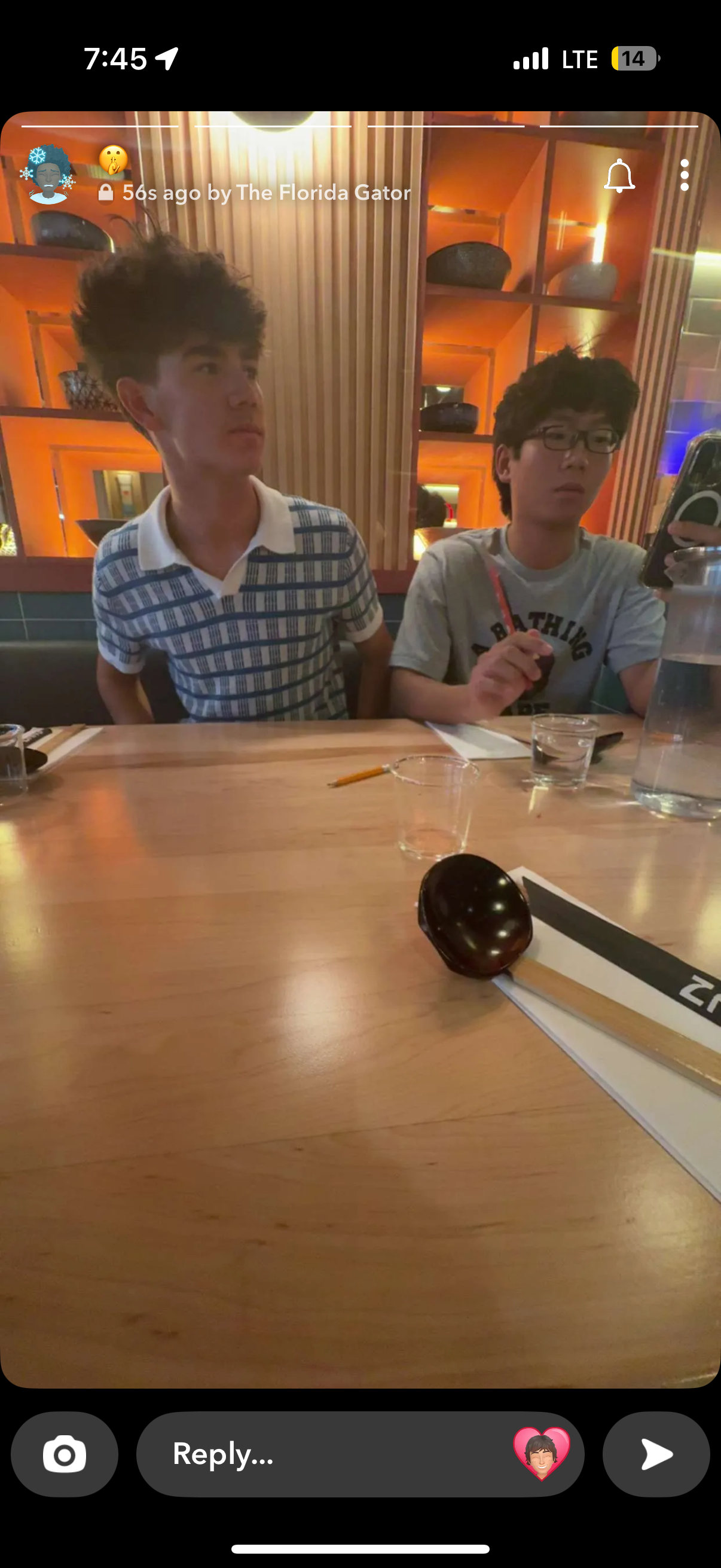 IMG 1479