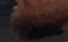 1757728462292