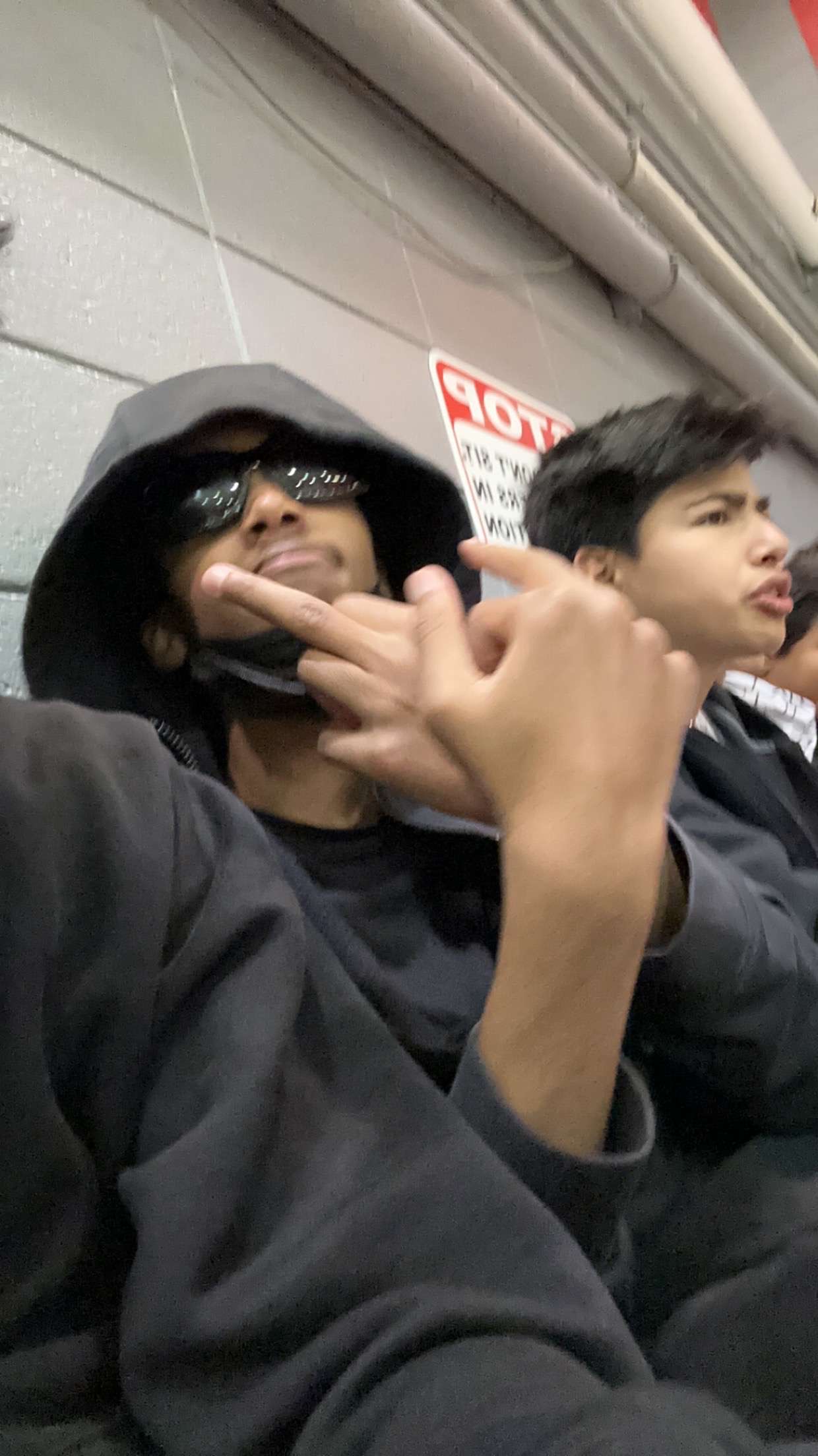 IMG 0387