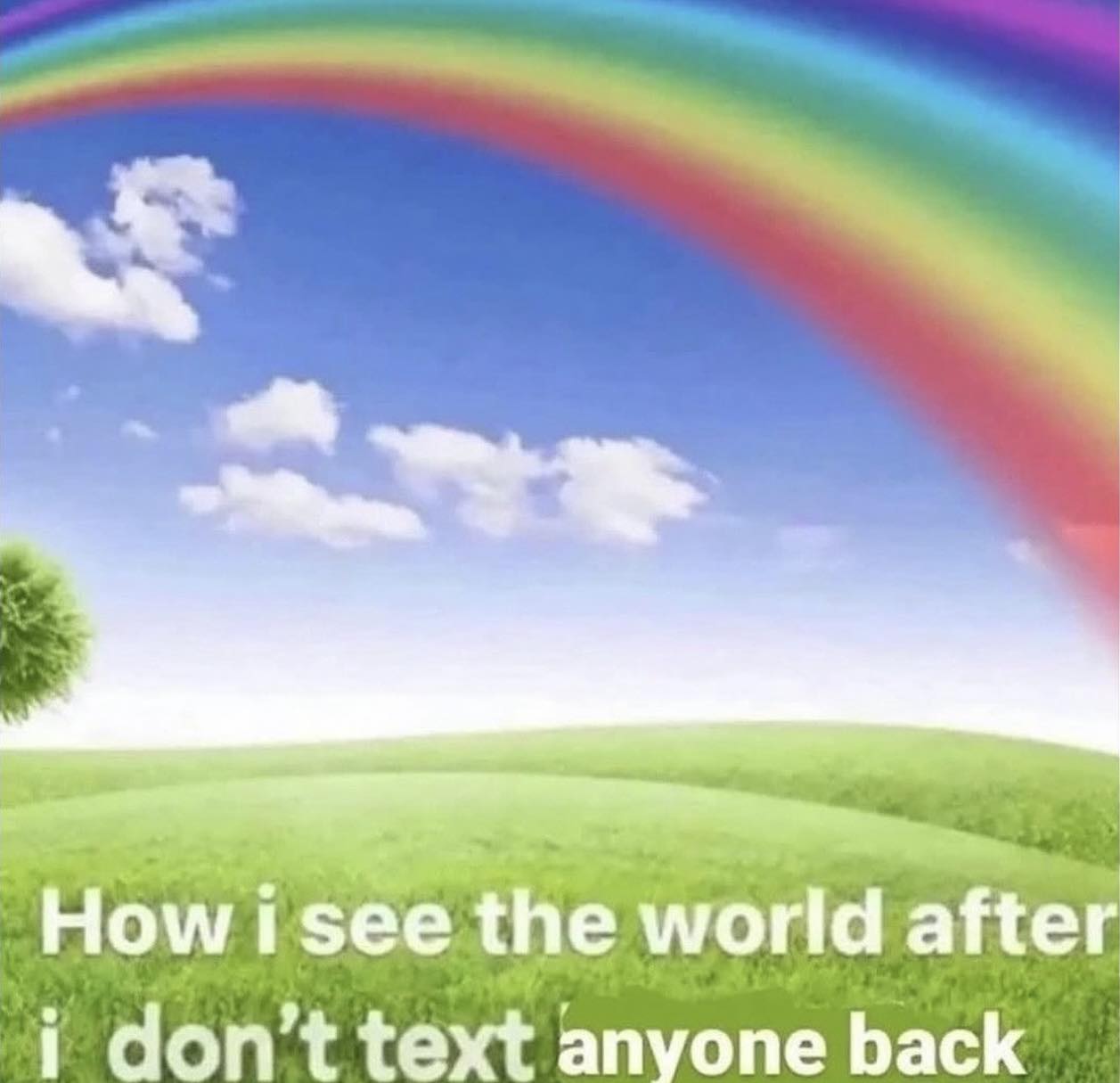 545702241 1355009606198241 1502211425562878849 n