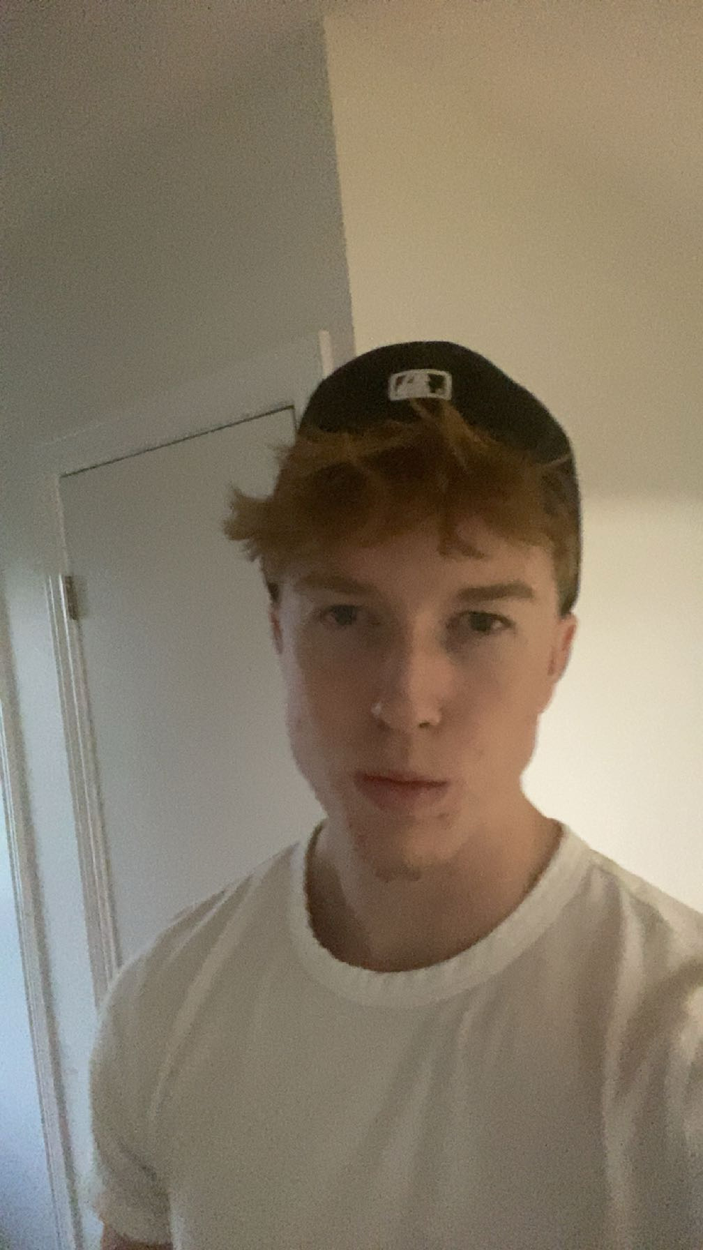IMG 2609