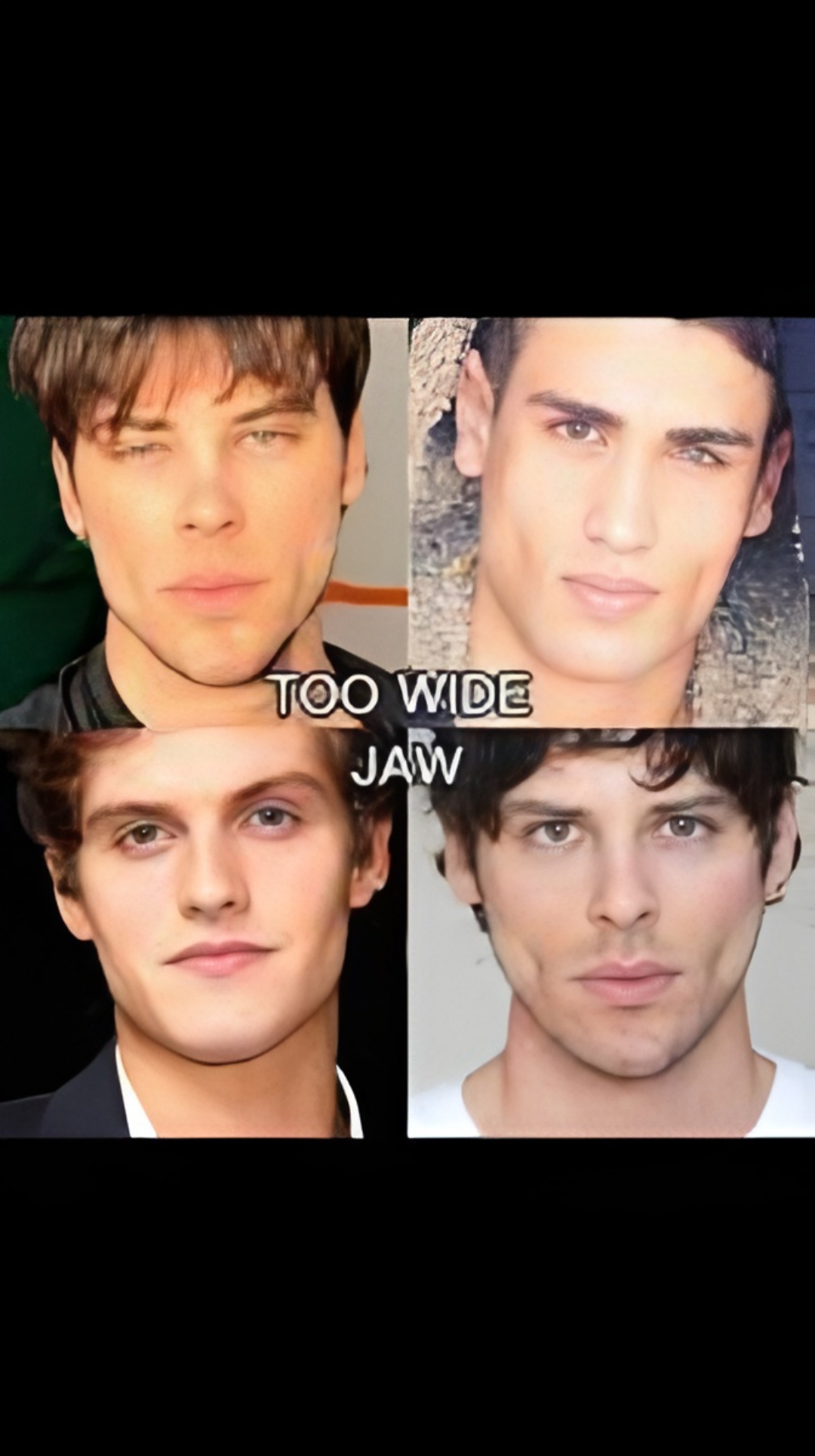 1000055586