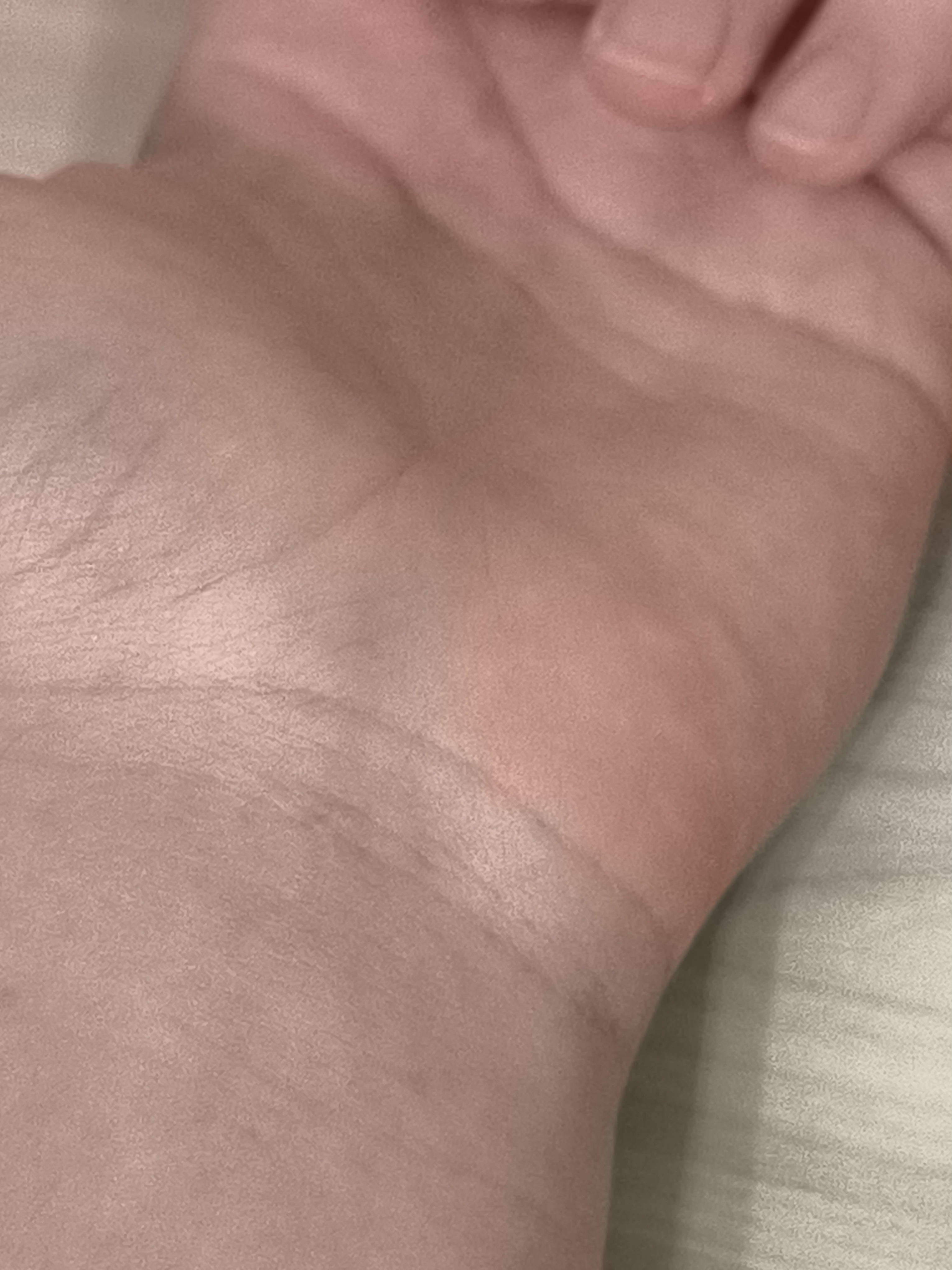 17578872979998727506292211270604