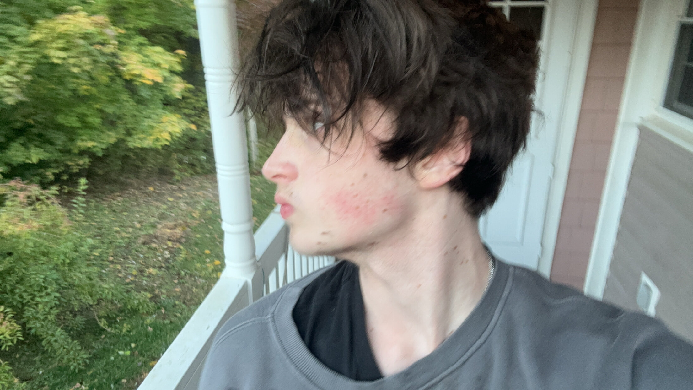 IMG 4730