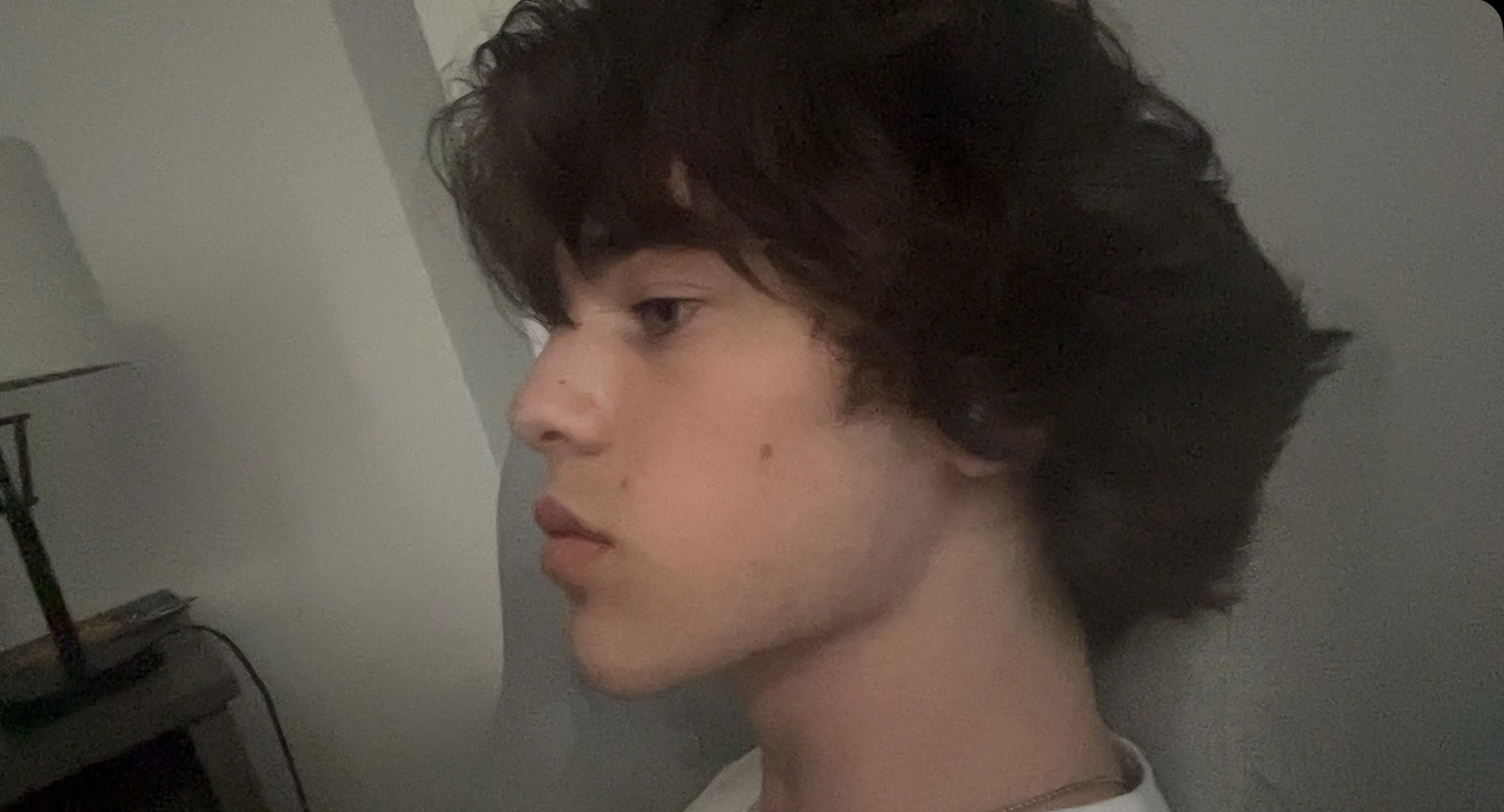 IMG 2547