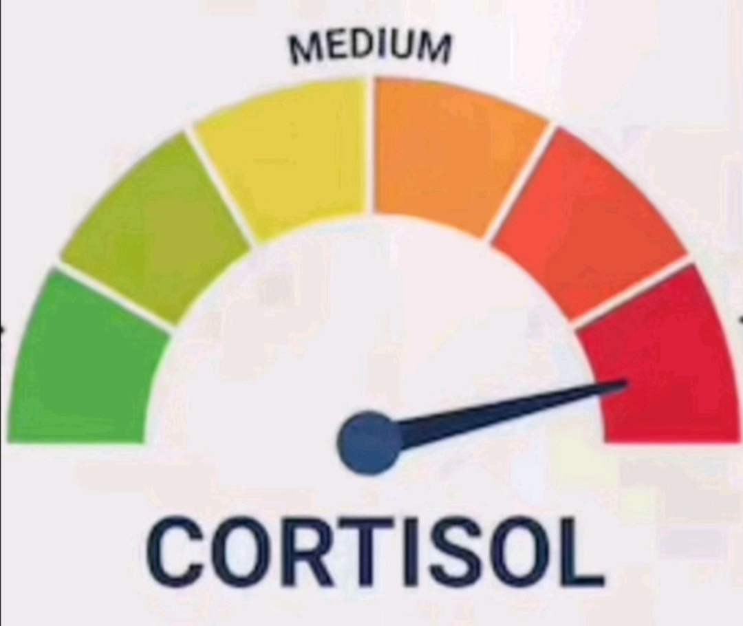 Screenshot 20250915 185625 TikTok Screenshot 20250915 185625 TikTok