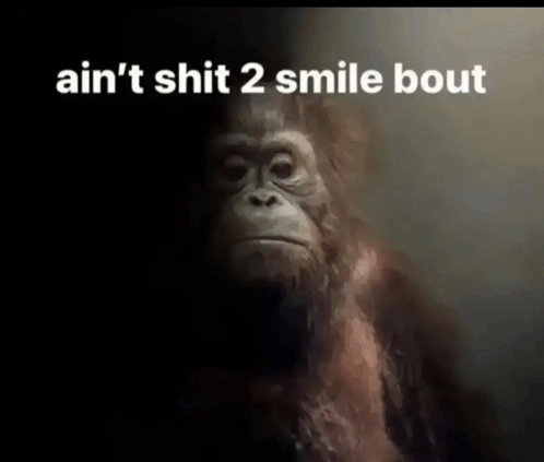 1757967629677 1757967629677