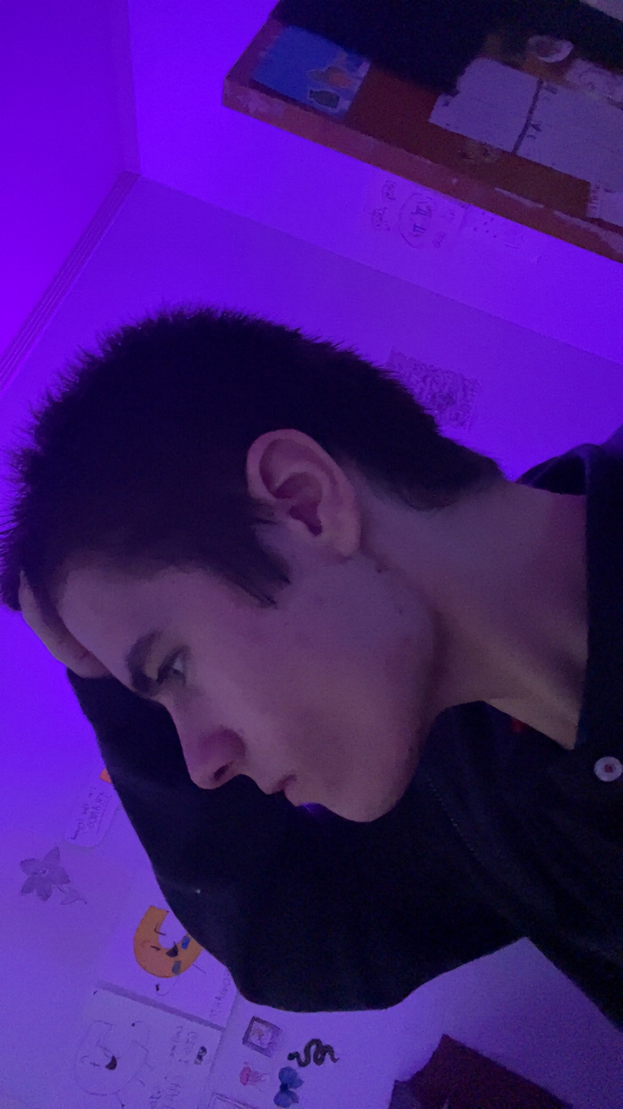IMG 3754