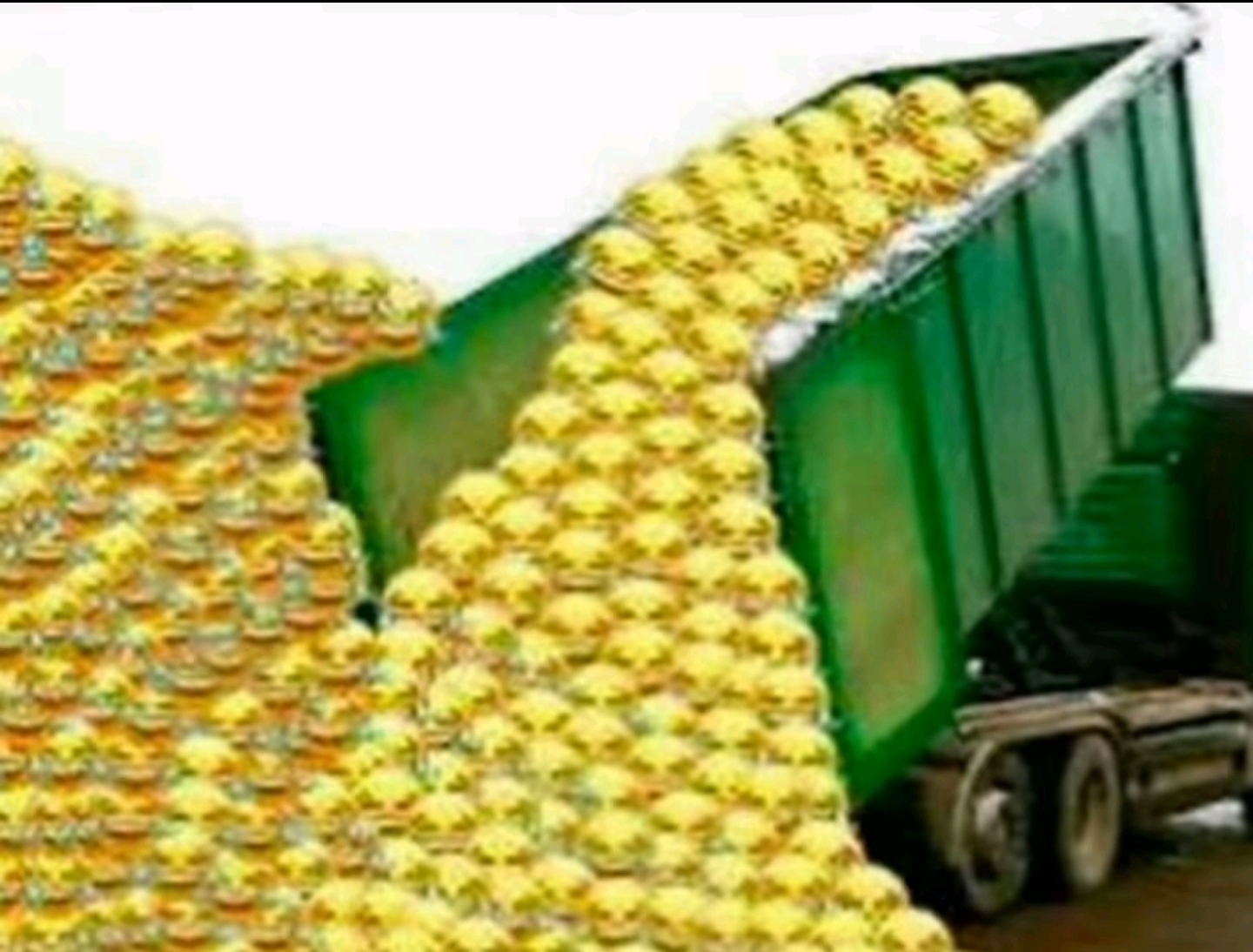 1000149487