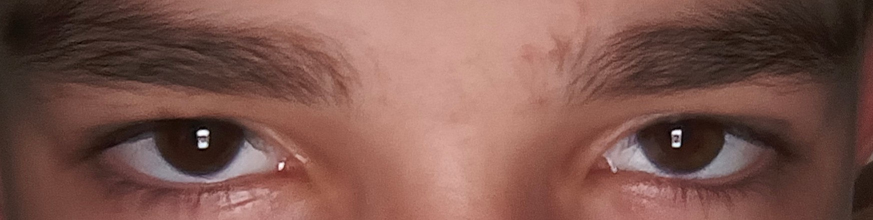 1000015742