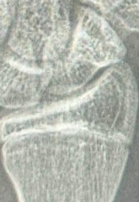 1758173734113