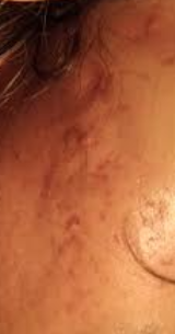 Immagine 2025 09 18 190437029