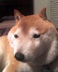1758265899622
