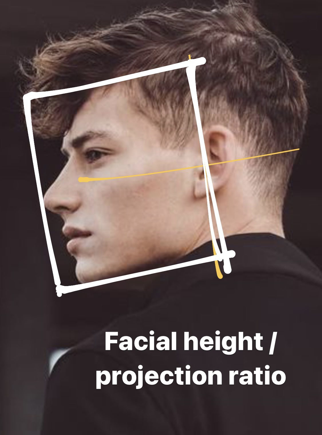 3247287 206AB7D1 F314 4779 AAEB 1383251F65AC