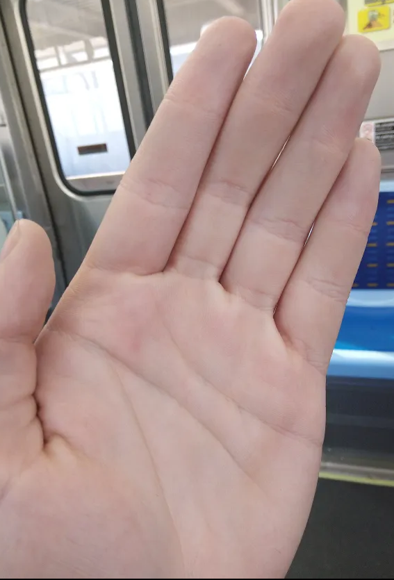 1758288606704