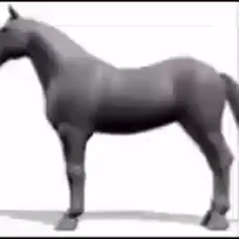 Cavalo horse
