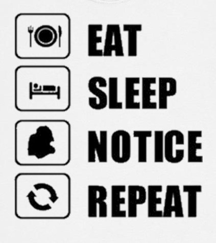 Eat Sleep Notice Repeat shirt
