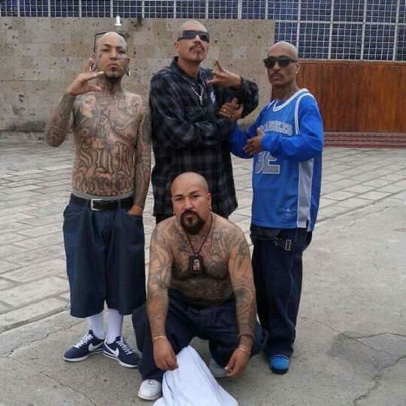 Marshal cholo v0 ocrecyi11fqd1 Marshal cholo v0 ocrecyi11fqd1