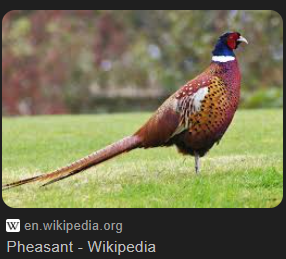 1758395890683